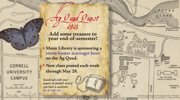 image of old-fashioned treasure map