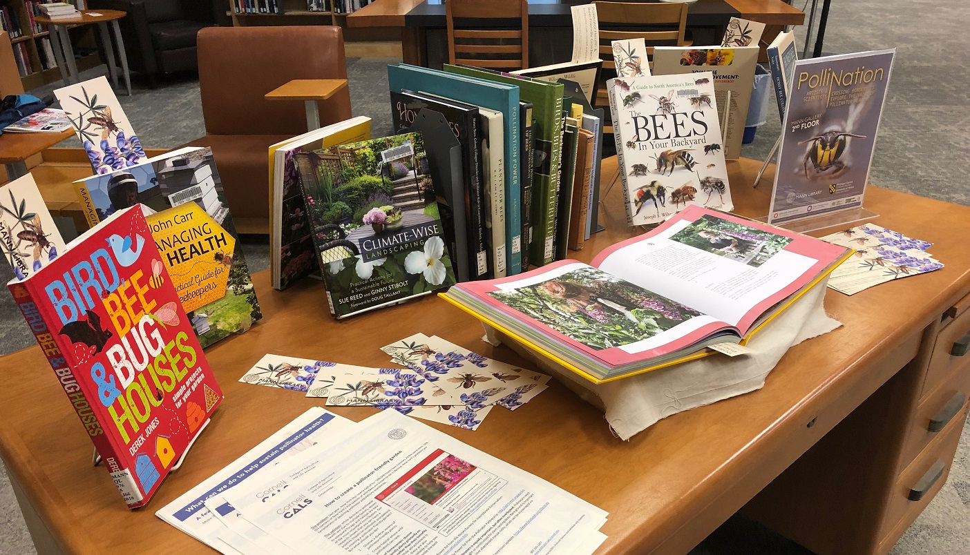 Collections – Mann Library