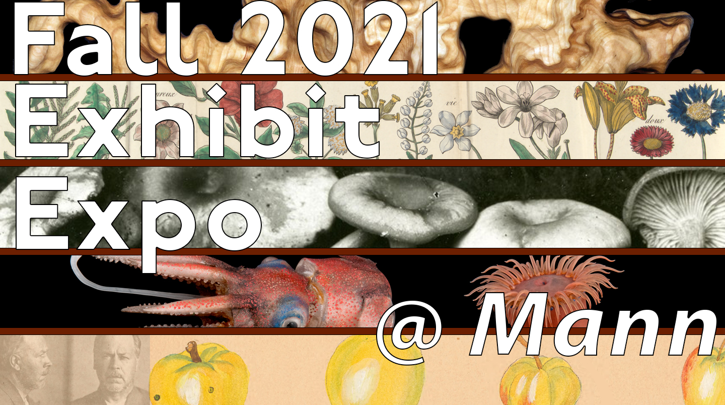 Fall 2021 Exhibit Expo @ Mann
