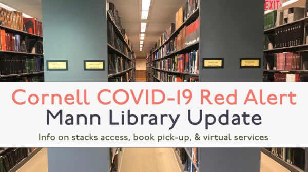 Cornell COVID-19 Red Alert: Mann Library Update