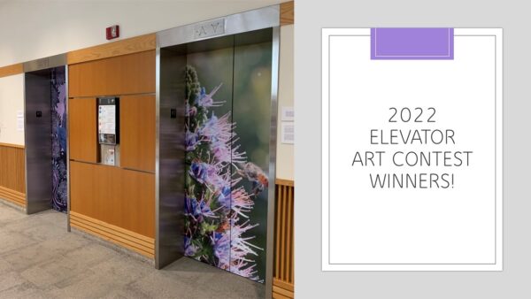 Congratulations to our 2022 Elevator Art Contest Winners!