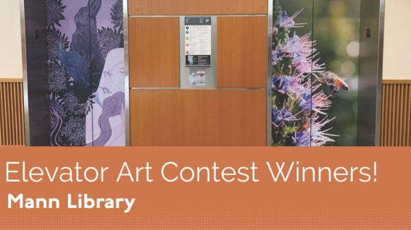 Elevator Art Contest Winners Mann Library