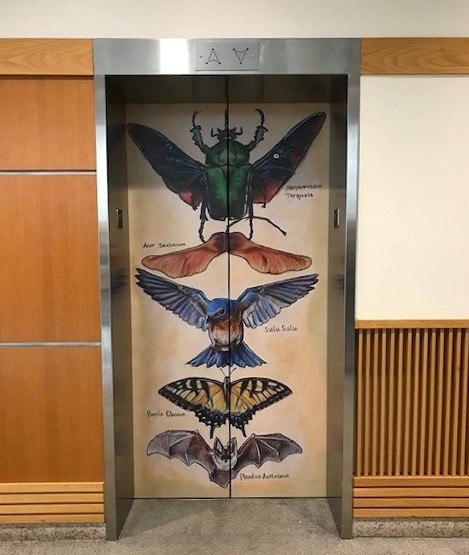 Image of Converge artwork on Mann elevator