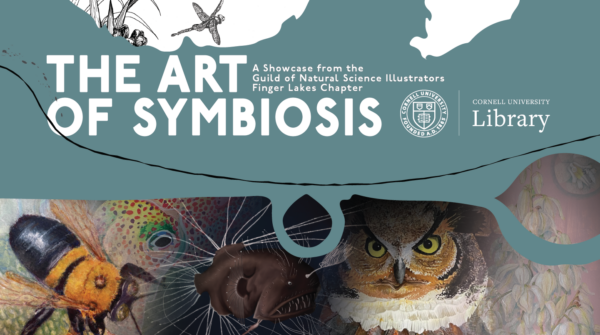 Exhibit Opening: The Art of Symbiosis