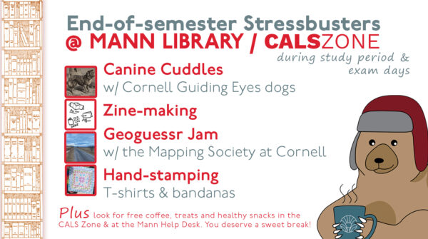 Cartoon image of Mann bear, with text: End-of-semester Stressbusters @ Mann Library/CALS Zone during study period & exam days. Canine Cuddles w/ Cornell Guiding Eyes dogs; Zine-making; Geoguessr Jam w/ the Mapping Society at Cornell; Hand-staming t-shirts & bandanas. Plus look for free coffee, treats and healthy snakcs in the CALS Zone & at the Mann Help Desk. You deserve a sweet break!