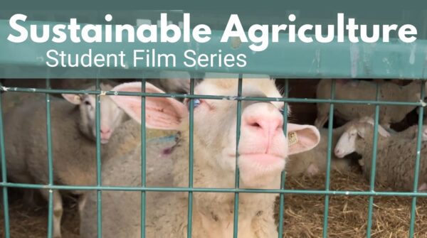 Sustainable Agriculture Student Film Series