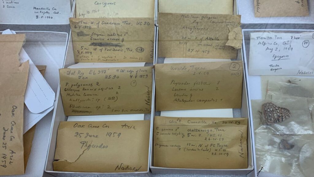 Photography of specimens in original envelopes with dates and annotations.