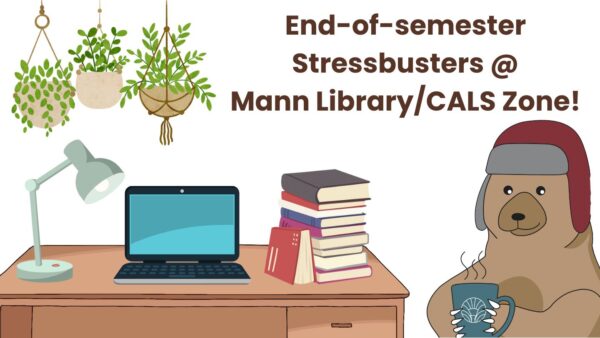 End-of-semester Stressbusters