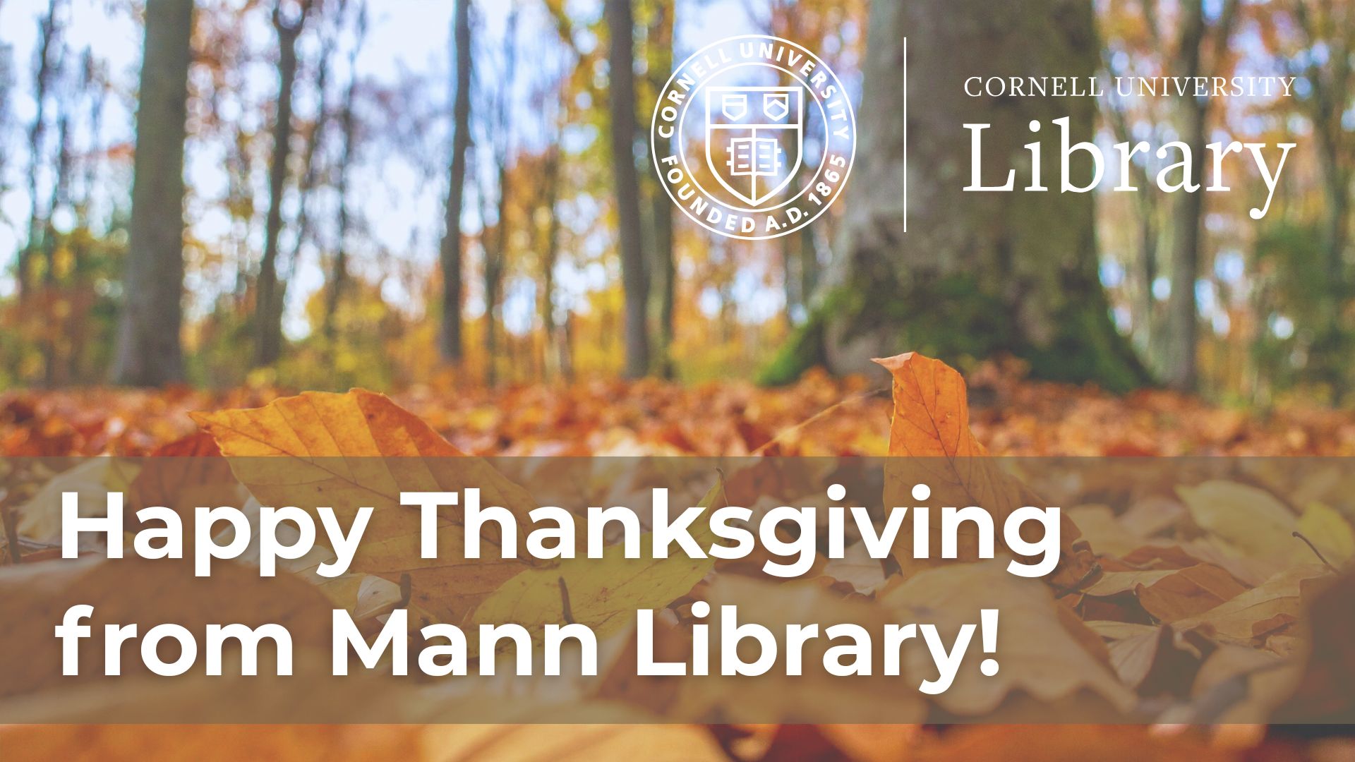 Autumn forest floor covered in fallen leaves with a banner reading “Happy Thanksgiving from Mann Library” and the Cornell University Library logo.