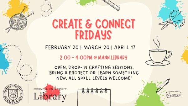 Promotional graphic for Create & Connect Fridays at Mann Library, Cornell University. The design features playful paint splashes and line drawings of crafting items including a ball of yarn with knitting needles, scissors, a ruler, a pen, an eraser, a spiral notebook, and a steaming coffee cup. Text reads: “Create & Connect Fridays. February 20 | March 20 | April 17. 2:00–4:00pm @ Mann Library. Open, drop-in crafting sessions. Bring a project or learn something new. All skill levels welcome!” The Cornell University Library logo appears at the bottom.