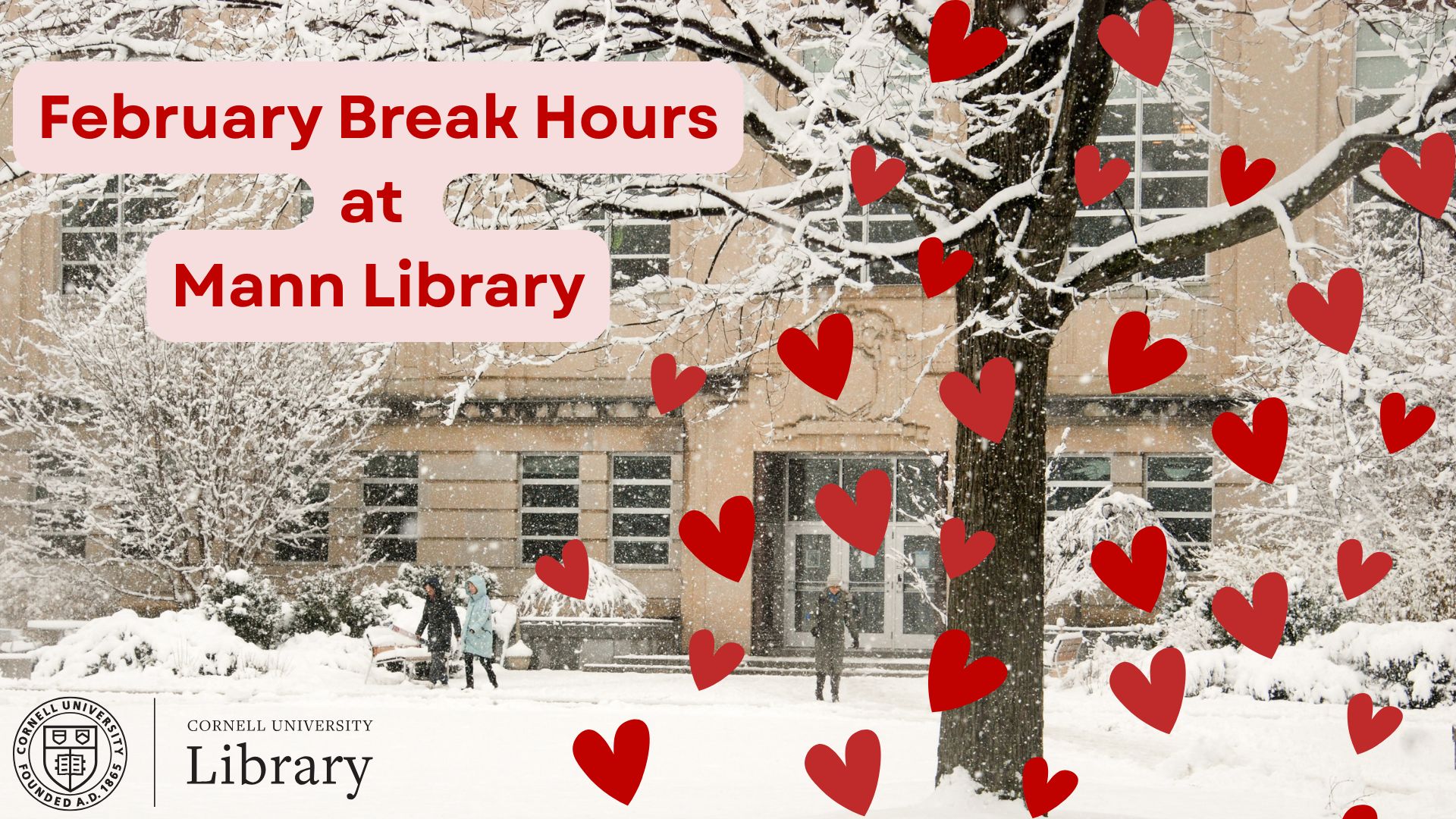 Graphic announcing “February Break Hours at Mann Library” over a snowy photo of Mann Library with red heart illustrations scattered across the image and the Cornell University Library logo in the lower left corner.