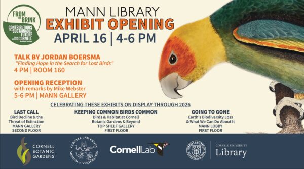 Promotional banner for a Mann Library exhibit opening on April 16, 4–6 PM. Includes a large illustration of a brightly colored bird. Event features a 4 PM talk by Jordan Boersma, “Finding Hope in the Search for Lost Birds,” in Room 160, followed by a reception from 5–6 PM in the Mann Gallery.
