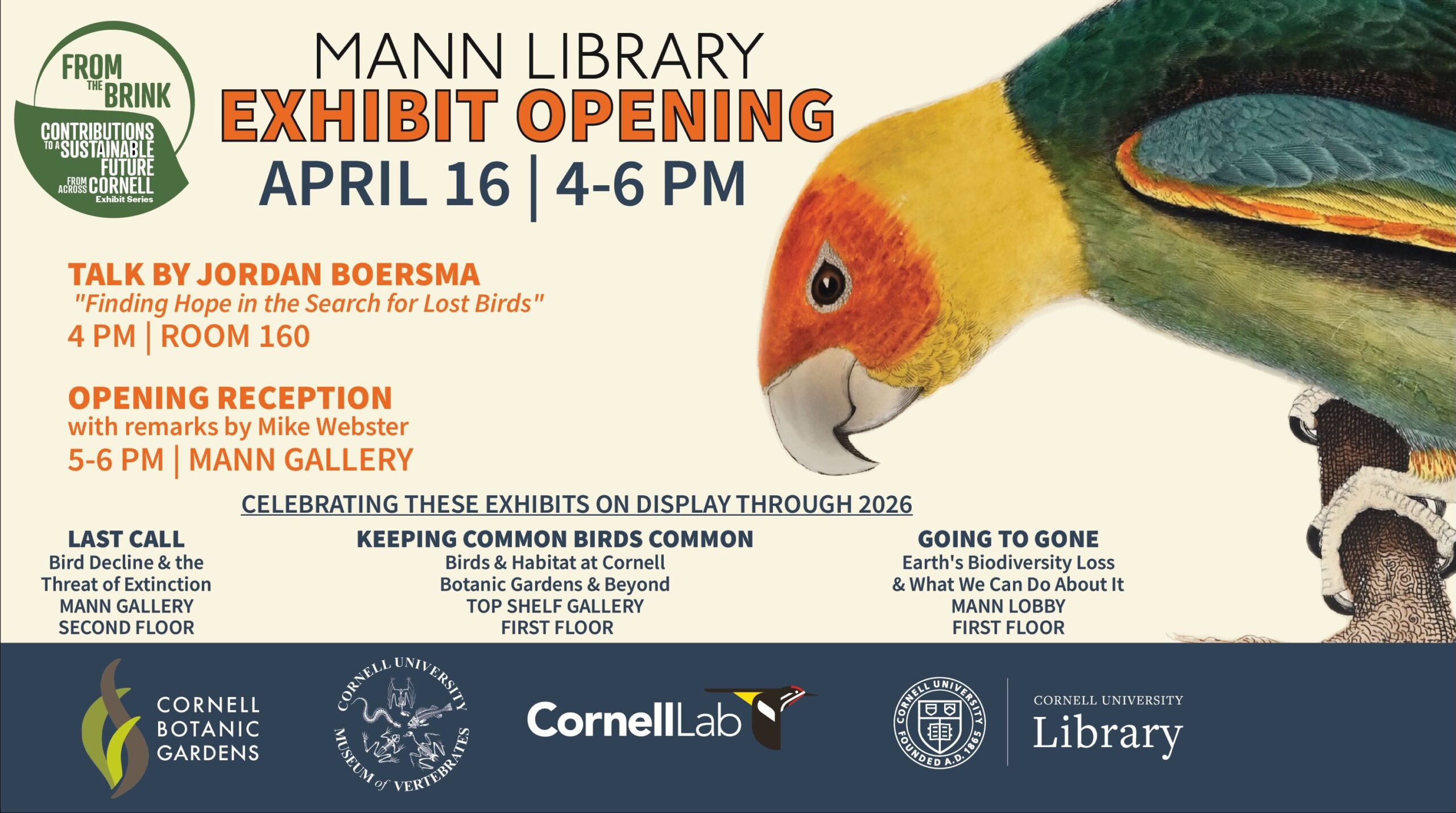 Promotional banner for a Mann Library exhibit opening on April 16, 4–6 PM. Includes a large illustration of a brightly colored bird. Event features a 4 PM talk by Jordan Boersma, “Finding Hope in the Search for Lost Birds,” in Room 160, followed by a reception from 5–6 PM in the Mann Gallery.