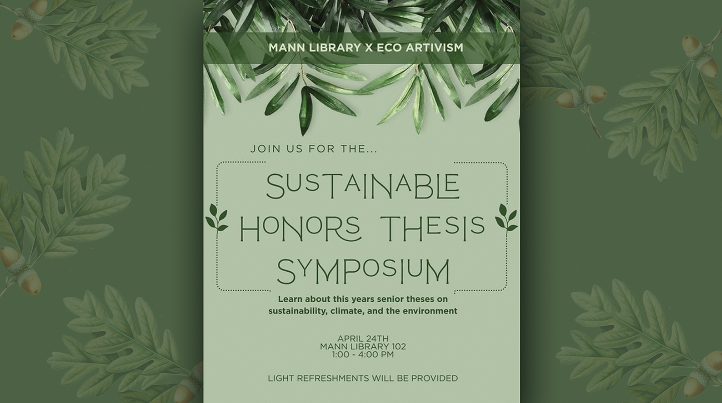 Promotional poster with a green, nature-themed design featuring leafy branches and acorns. Text reads: “Mann Library x Eco Artivism. Join us for the Sustainable Honors Thesis Symposium. Learn about this year’s senior theses on sustainability, climate, and the environment. April 24th, Mann Library 102, 1:00–4:00 PM. Light refreshments will be provided.”