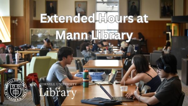 Students study at tables inside Mann Library, with laptops and books spread across a large reading room. Overlaid text reads “Extended Hours at Mann Library,” alongside the Cornell University Library logo.