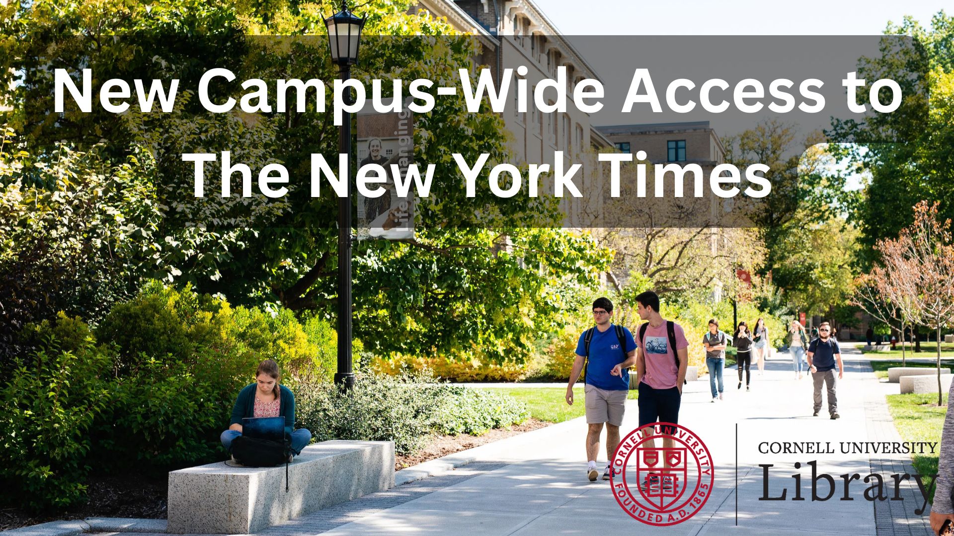 Students walk and study along a tree-lined campus pathway near Mann Library. The image is overlaid with the headline 