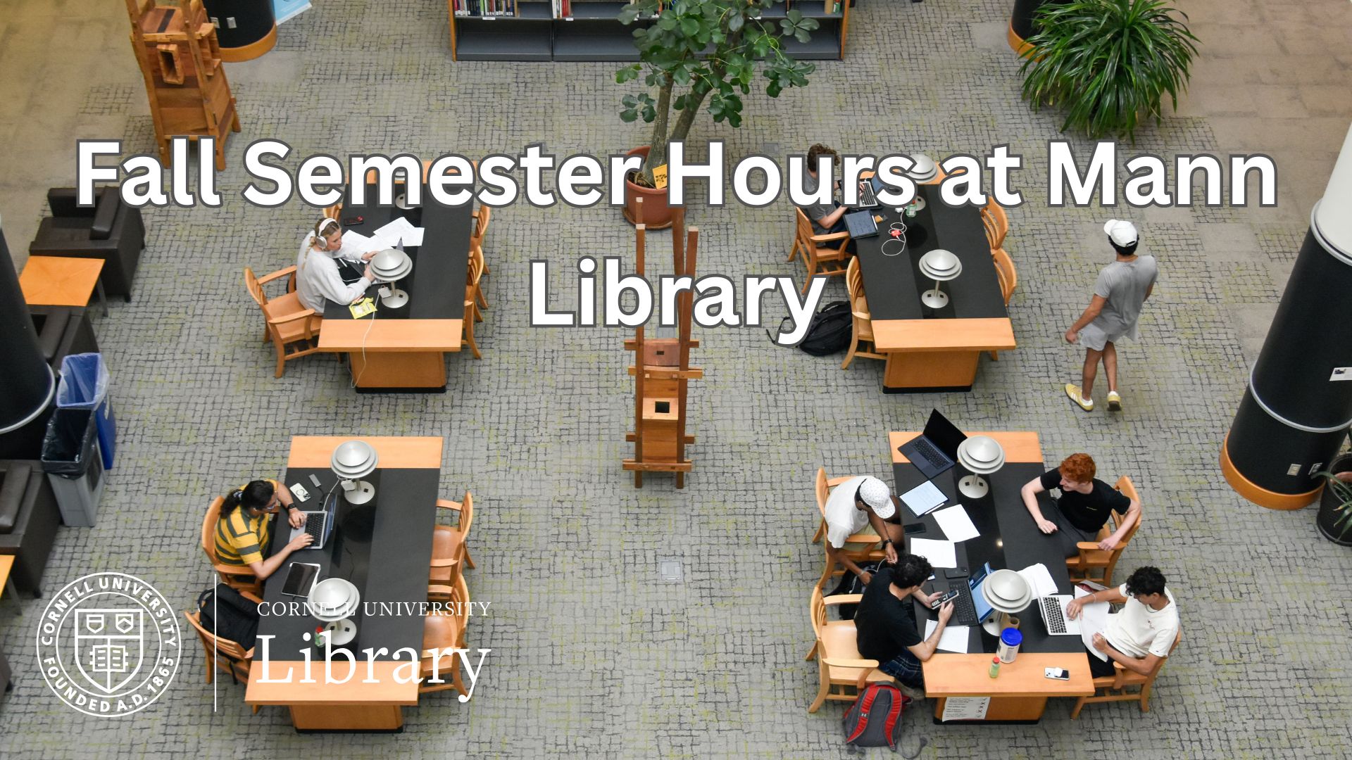 Overhead view of students studying at tables in Mann Library, with text reading “Fall Semester Hours at Mann Library” and the Cornell University Library logo.
