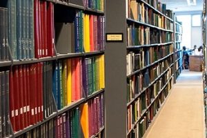 Photo by Carla DeMello